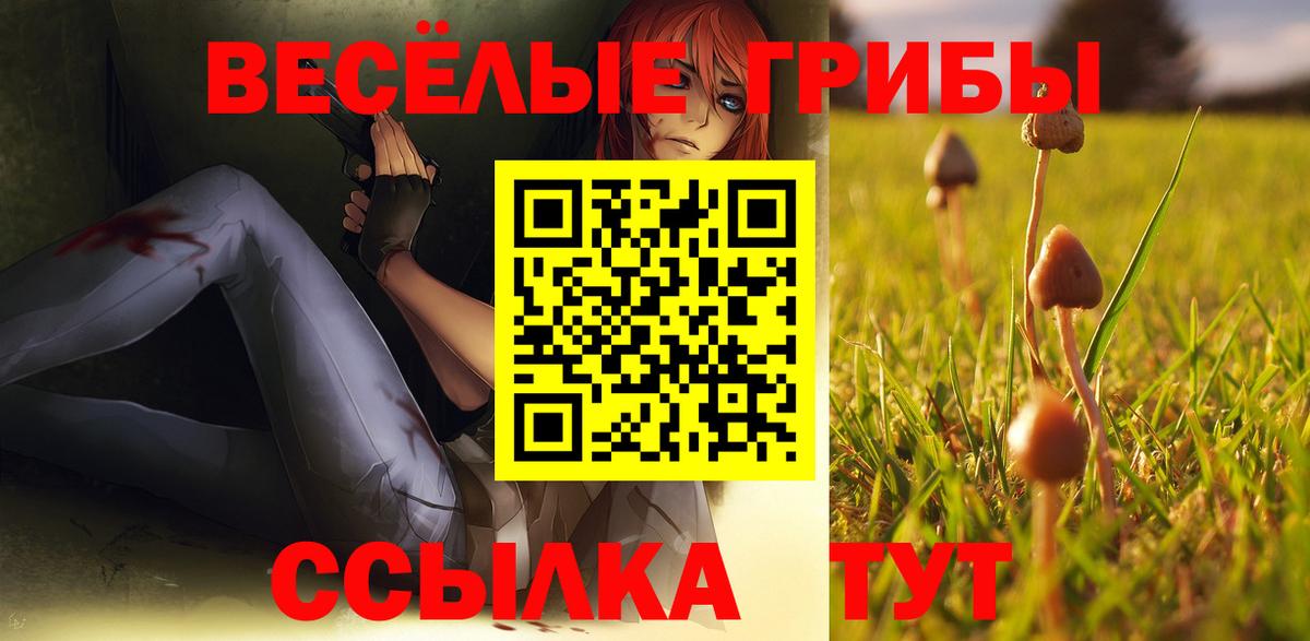 Псилоцибиновые грибы мицелий  Вход с VPN  Галлюциногенные грибы GOLDEN TEACHER  Моздок 