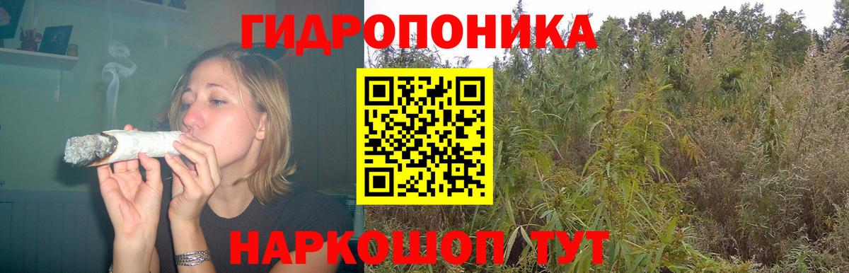 Конопля Bruce Banner  Вход с VPN  Бошки Шишки план  МАРИХУАНА индика  Моздок 